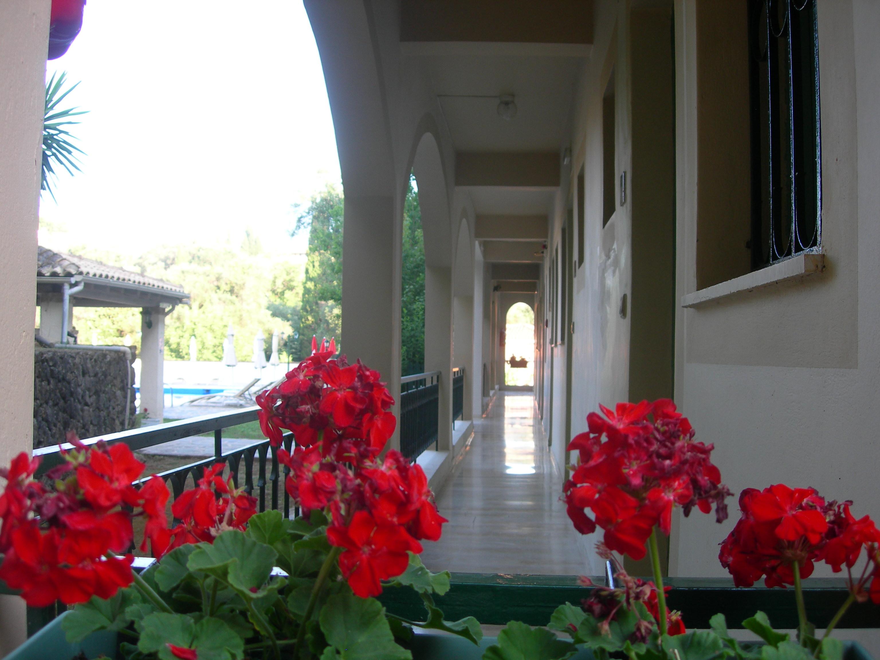 Villa Karmar Hotel Apartments Dassia  Bagian luar foto